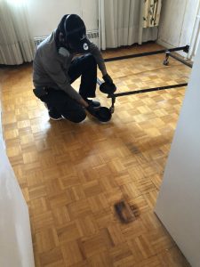 HUG Pest Control Toronto mice removal